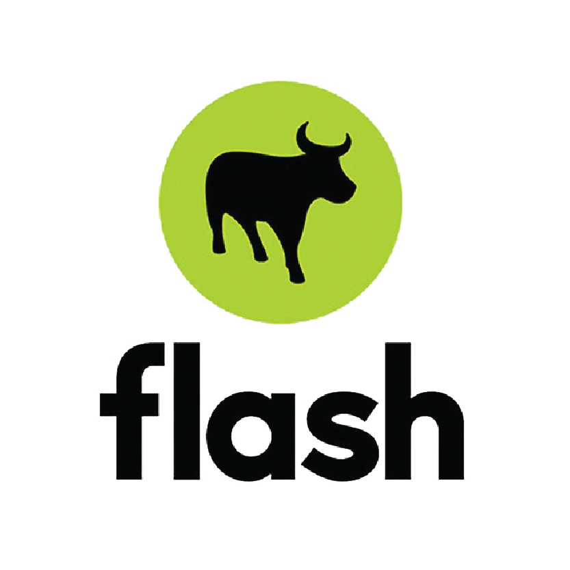 Flash