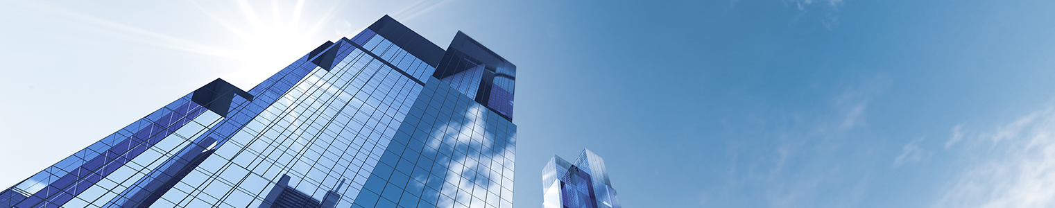 JSE Listed Companies & Multinationals